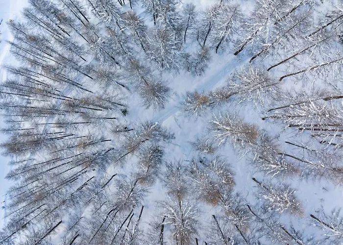 Panorama Apart Otel Samnaun